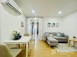 1 Bedroom Apartment for sale at SR Complex, Nong Pa Khrang, Mueang Chiang Mai