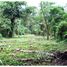 N/A Land for sale in , Limon Limón