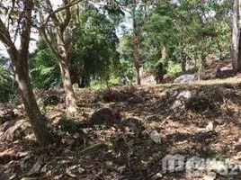 在FazWaz.cn出售的 土地, 帕洛, 塔朗, 普吉, 泰国