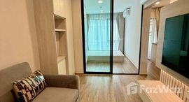 ยูนิตมือสองและให้เช่า