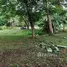  Land for sale in Mae Hia, Chiang Mai, Mae Hia, Mueang Chiang Mai