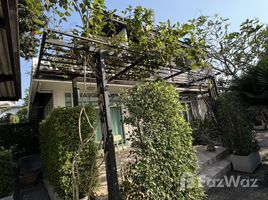 วิลล่า 3 ห้องนอน ให้เช่า ในทำเล บางนา, กรุงเทพมหานคร, บางนา, บางนา