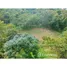  Land for sale in Golfito, Puntarenas, Golfito