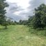  Земельный участок for sale in Nam Phrae, Чианг Маи, Nam Phrae, Ханг Донг