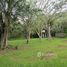  Land for sale in Los Chiles, Alajuela, Los Chiles