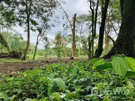  Terrain for sale in Puntarenas, Osa, Puntarenas