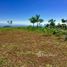  Land for sale in Osa, Puntarenas, Osa