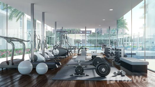 Фото 1 of the Communal Gym at Oasis 1