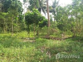 N/A Land for sale in Bo Phut, Koh Samui Land For Sale At Mae Nam Soi 1