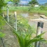 ขายบ้านเดี่ยว 2 ห้องนอน ใน ลวงเหนือ, เชียงใหม่, ลวงเหนือ, ดอยสะเก็ด