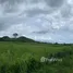  Land for sale in Nong Phlap, Hua Hin, Nong Phlap