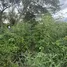  Land for sale in Thailand, Han Kaeo, Hang Dong, Chiang Mai, Thailand