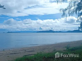 ขายที่ดิน ใน ตลิ่งงาม, สุราษฎร์ธานี, ตลิ่งงาม