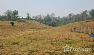 N/A Land for sale in Mae Taeng, Chiang Mai 