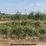  Land for sale in Thailand, Mai Tra, Bang Sai, Phra Nakhon Si Ayutthaya, Thailand