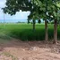  Land for sale in Phayao, Dong Chen, Phu Kamyao, Phayao