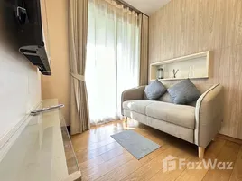 อพาร์ทเม้นท์ 1 ห้องนอน ให้เช่า ในโครงการ เวีย โบทานี, คลองตันเหนือ