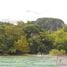  Land for sale in Kantang Trang, Ko Libong, Kantang, Trang, Thailand