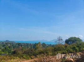 ขายที่ดิน ใน บ่อผุด, สุราษฎร์ธานี, บ่อผุด