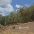 Land for sale in Thep Krasattri, Phuket, Thep Krasattri
