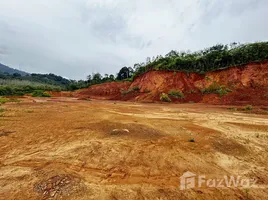  Grundstück zu verkaufen in Mueang Ranong, Ranong, Bang Non, Mueang Ranong