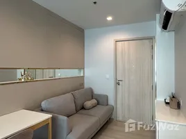 คอนโด 1 ห้องนอน ให้เช่า ในโครงการ ไลฟ์ วัน ไวร์เลส, ลุมพินี