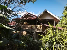 ขายที่ดิน ใน บ้านไร่, ชัยภูมิ, บ้านไร่, เทพสถิต, ชัยภูมิ, ไทย