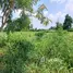  Land for sale in Chok Chai, Nakhon Ratchasima, Tha Ang, Chok Chai