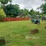  Land for sale in San Sai Chiang Mai, Nong Yaeng, San Sai, Chiang Mai