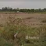  Land for sale in Si Mum, Nakhon Ratchasima, Si Mum, Mueang Nakhon Ratchasima