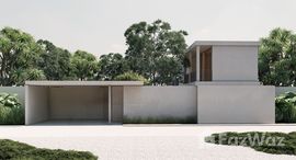 ยูนิตมือสองและให้เช่า