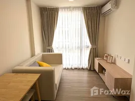 เพนท์เฮ้าส์ 1 ห้องนอน ให้เช่า ในโครงการ ดิ เอ็กเซล คูคต, คูคต, ลำลูกกา, ปทุมธานี, ไทย