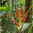  Terrain for sale in Colombie, San Miguel De Mocoa, Putumayo, Colombie