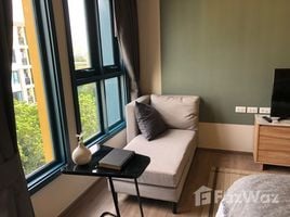 1 Bedroom Condo for rent at The BASE Sukhumvit 50, Phra Khanong