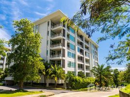 Studio Penthouse for sale at Palm & Pine At Karon Hill, Karon