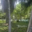 ขายบ้านเดี่ยว 6 ห้องนอน ใน ภูเก็ต, ฉลอง, เมืองภูเก็ต, ภูเก็ต