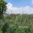  Land for sale in Nakhon Chai Si Nakhon Pathom, Tha Tamnak, Nakhon Chai Si