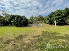 ขายที่ดิน ใน หนองควาย, เชียงใหม่, หนองควาย