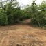  Land for sale in Guanacaste, Santa Cruz, Guanacaste