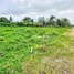  Terreno (Parcela) en venta en Cabarete, Sosua
