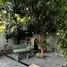 Villa 4 chambre à louer à Euro Village, An Hai Tay