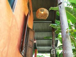 Studio House for rent in Wat Ket, Chiang Mai Peaceful House for Rent in Wat Ket