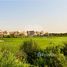  Terrain à vendre à Emerald Hills., Dubai Hills Estate, Dubai, Émirats arabes unis