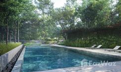 Photo 2 of the Piscina Comunitaria at Mulberry Grove The Forestias Condominiums