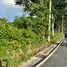  Land for sale in Thep Krasattri, Phuket, Thep Krasattri