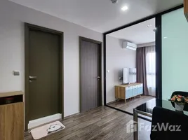 1 Bedroom Condo for rent at Life Ladprao Valley, Chomphon, Chatuchak, Bangkok, Thailand