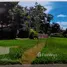 ขายที่ดิน ใน เกาะสมุย, สุราษฎร์ธานี, ตลิ่งงาม, เกาะสมุย