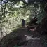 在San Rafael, Heredia出售的 土地, San Rafael