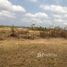  Land for sale in Tema, Greater Accra, Tema