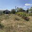  Land for sale in Choeng Thale, Phuket, Choeng Thale, Thalang, Phuket